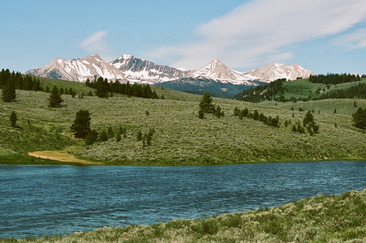 Albino Lake