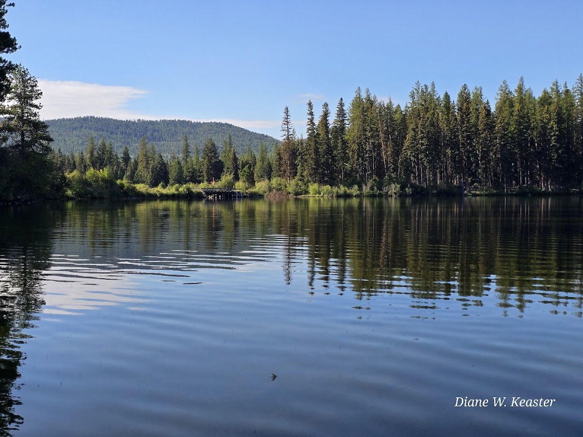 Placid Lake State Park