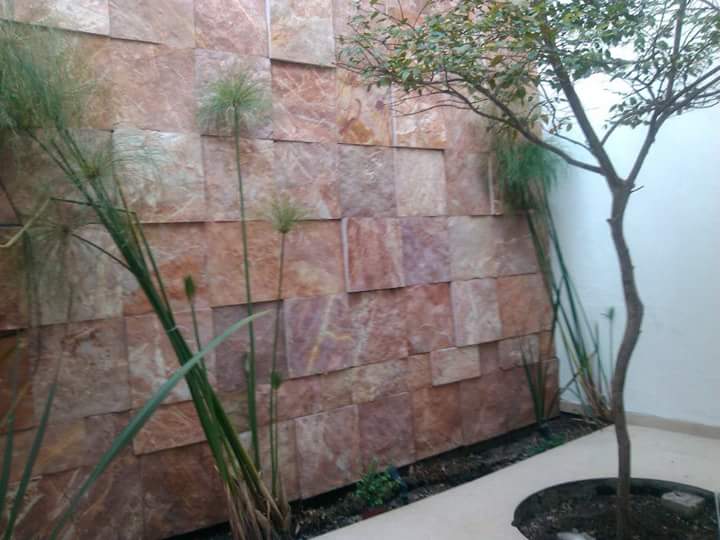 Clínica De Salud Integral Gdl Podología, Nutrición, Spa
