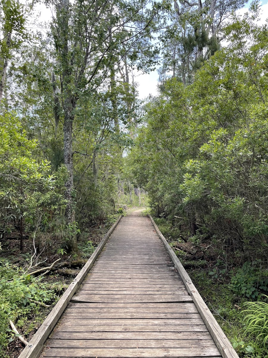 Goose Creek State Park