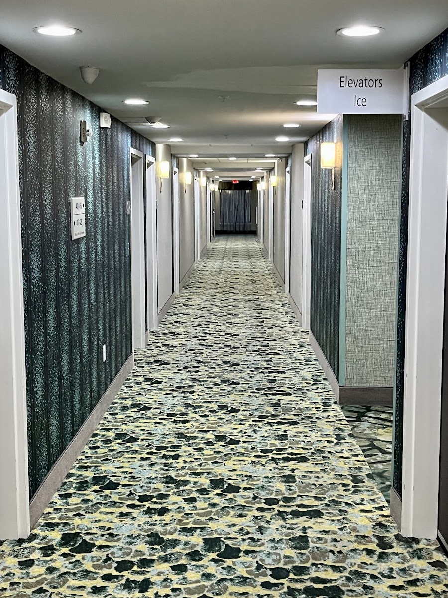 Hampton Inn Emporia photo 3