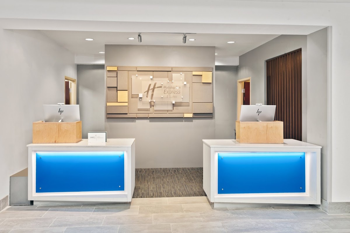 Holiday Inn Express & Suites Chicago West-O'Hare Arpt Area by IHG photo 3