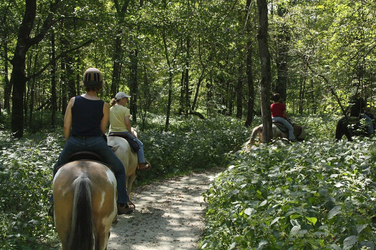 Forestville State Park Office