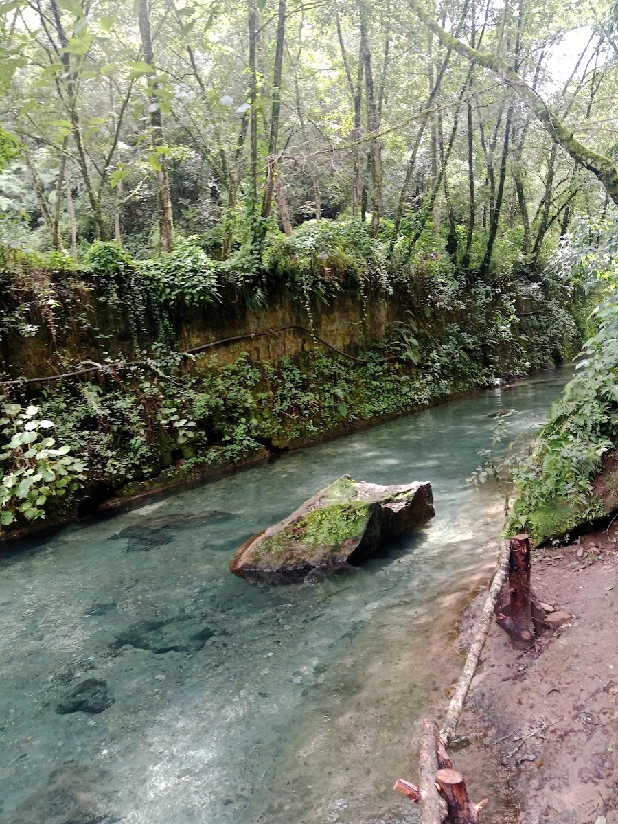 Río Pancho Poza