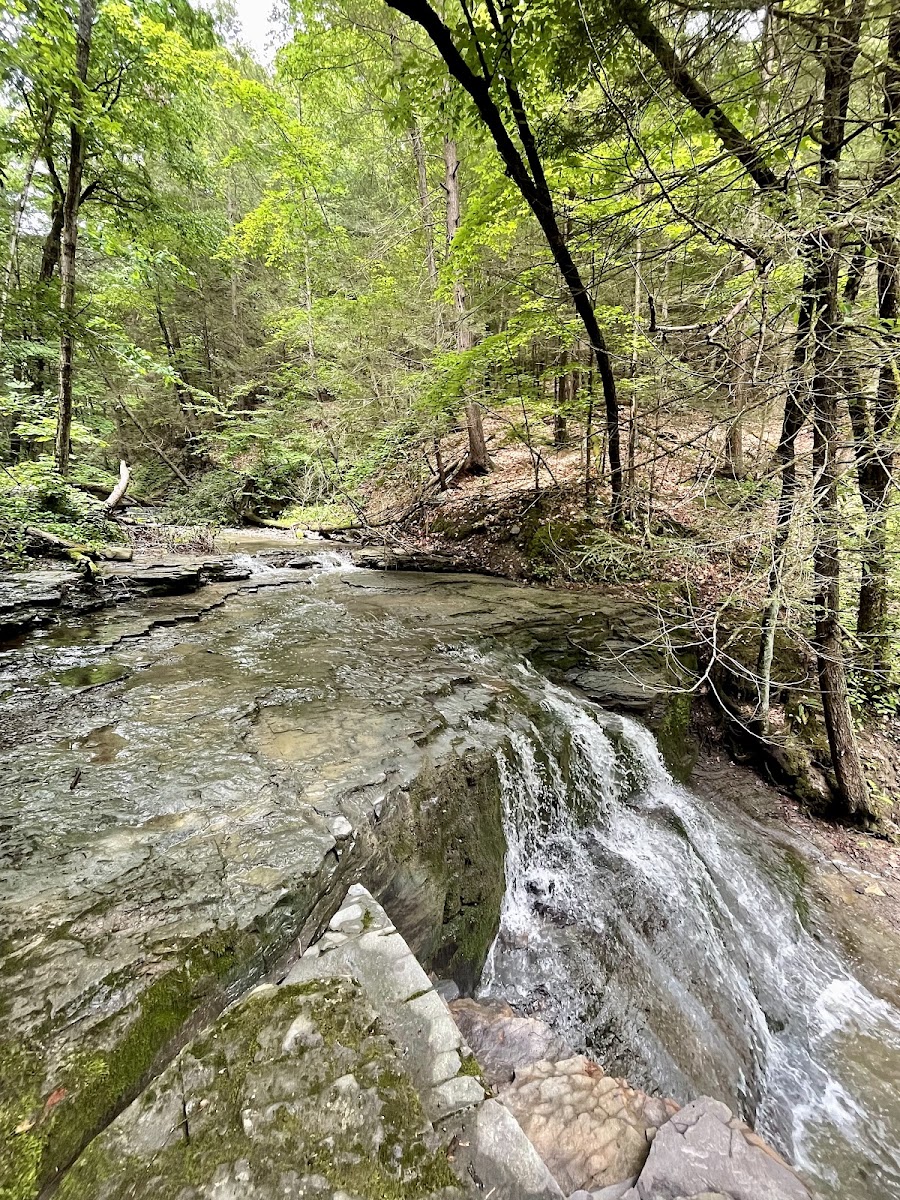Waterman Conservation Education Center