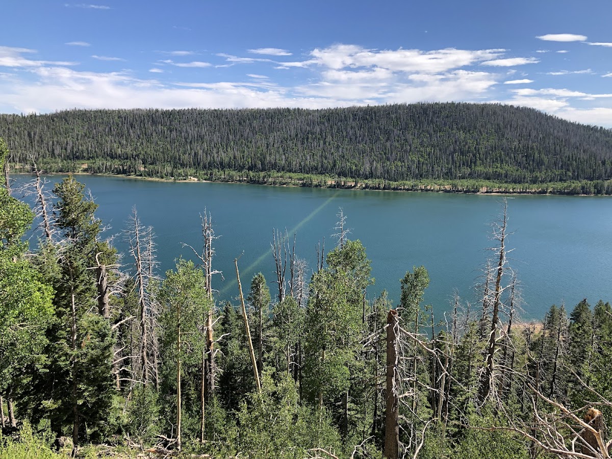 Navajo Lake