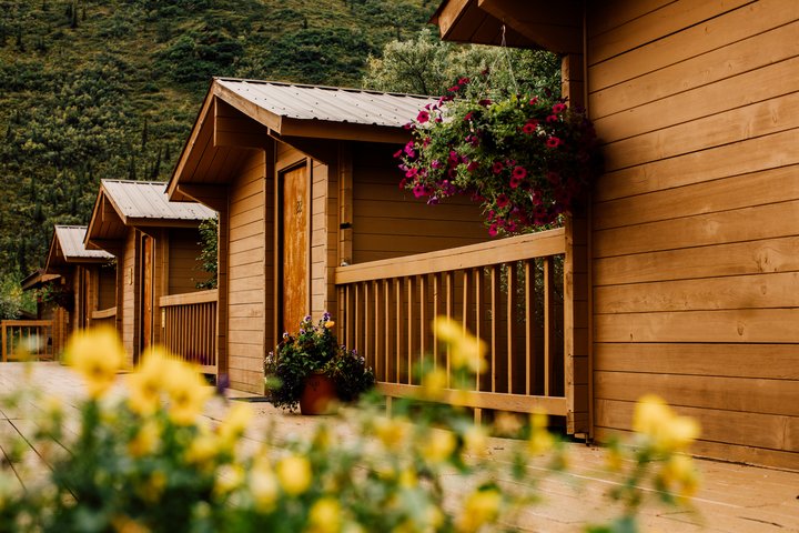 Denali Backcountry Lodge photo 3