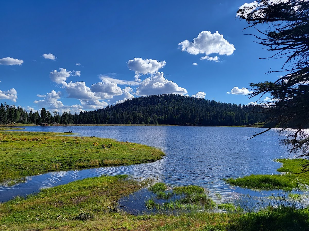 San Gregorio Lake Trail