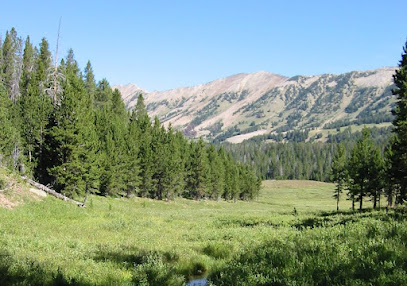 Custer Gallatin National Forest