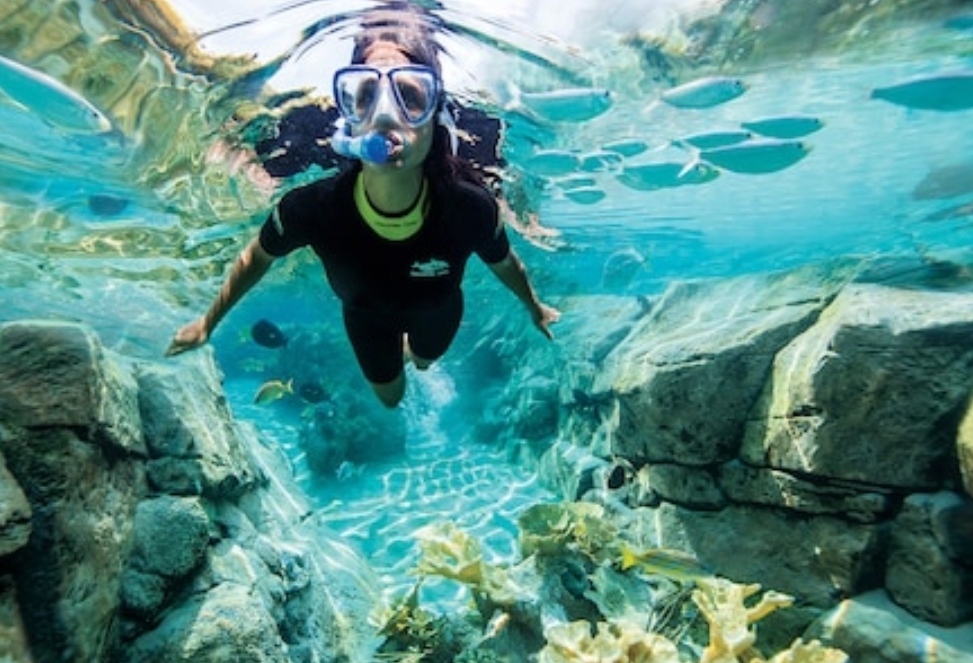 Discovery Cove