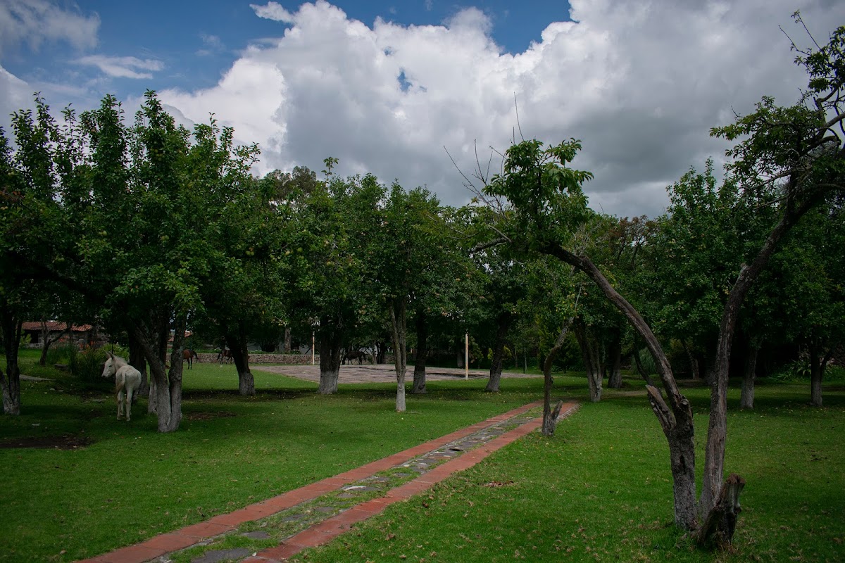 Campamento Mazahua photo 2