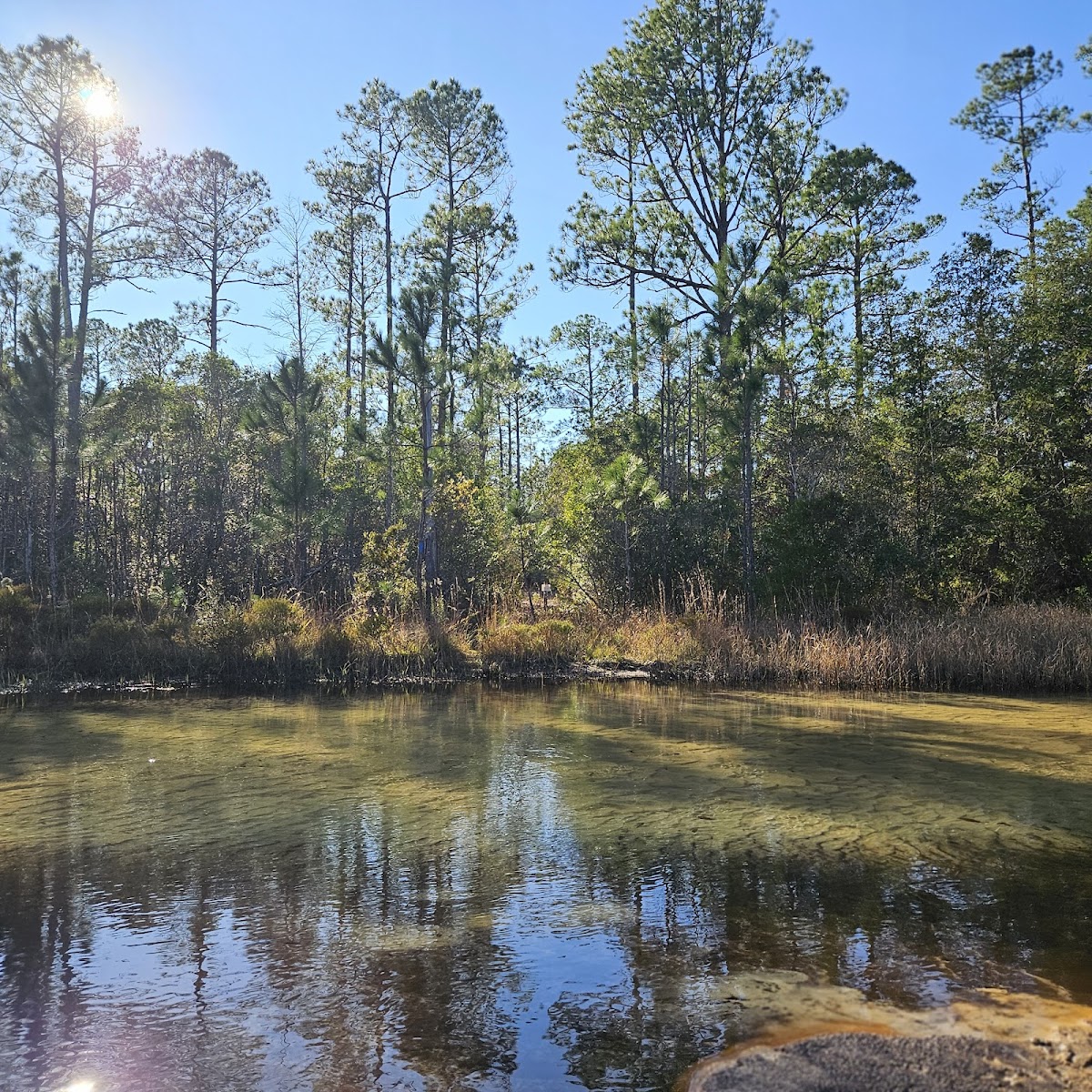 Turkey Hen Creek