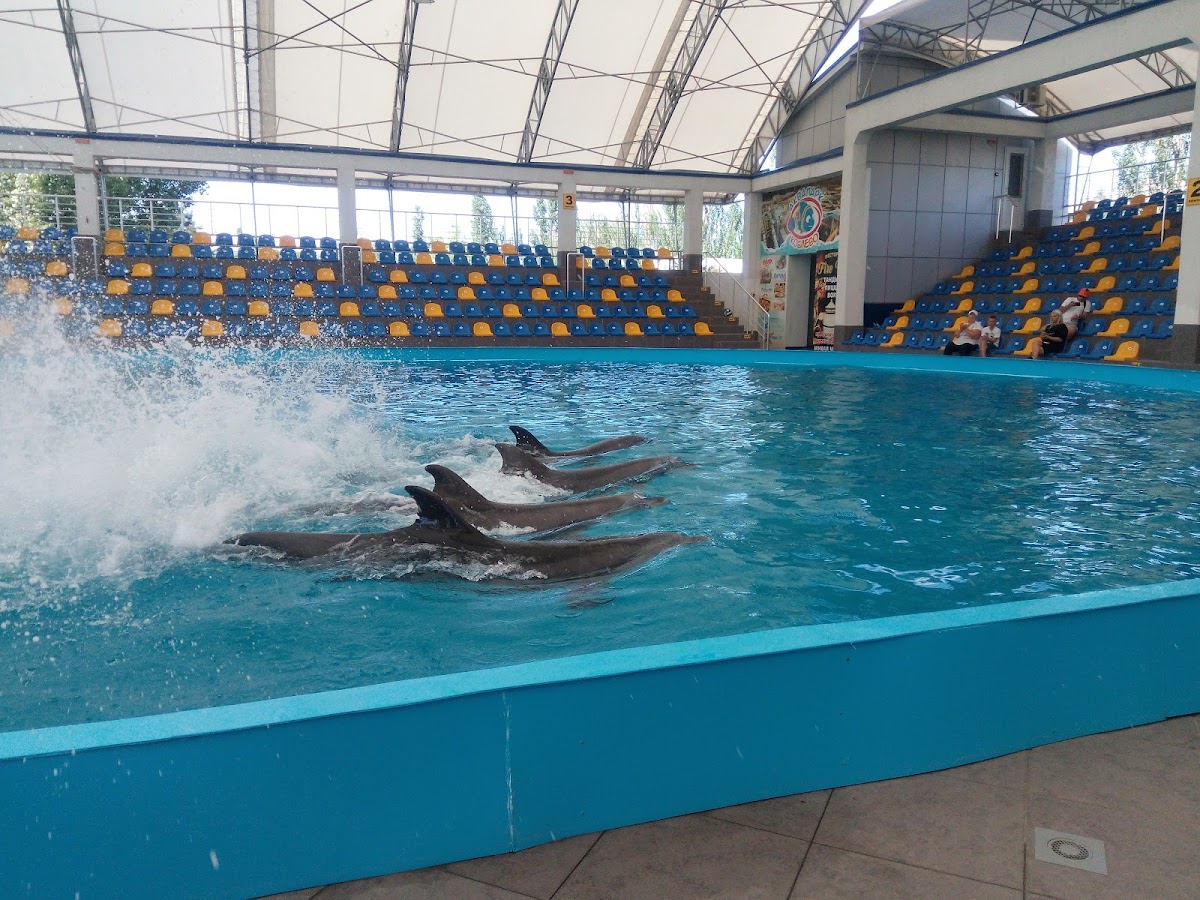Dolphinarium 