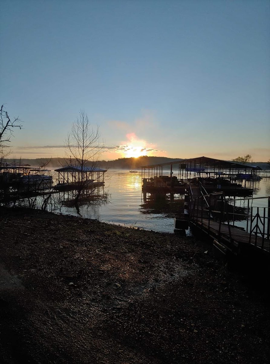 Nemo Bridge Resort photo 3