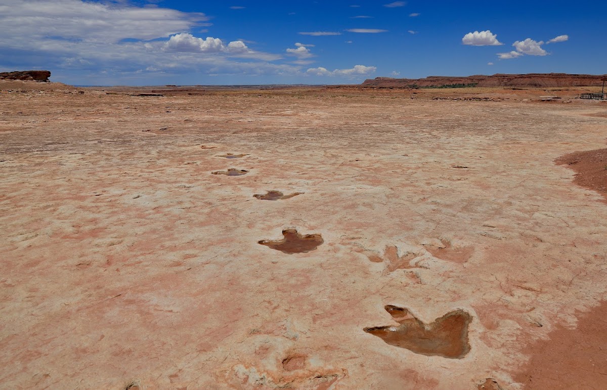 Navajo Moenave Dinosaur Tracks