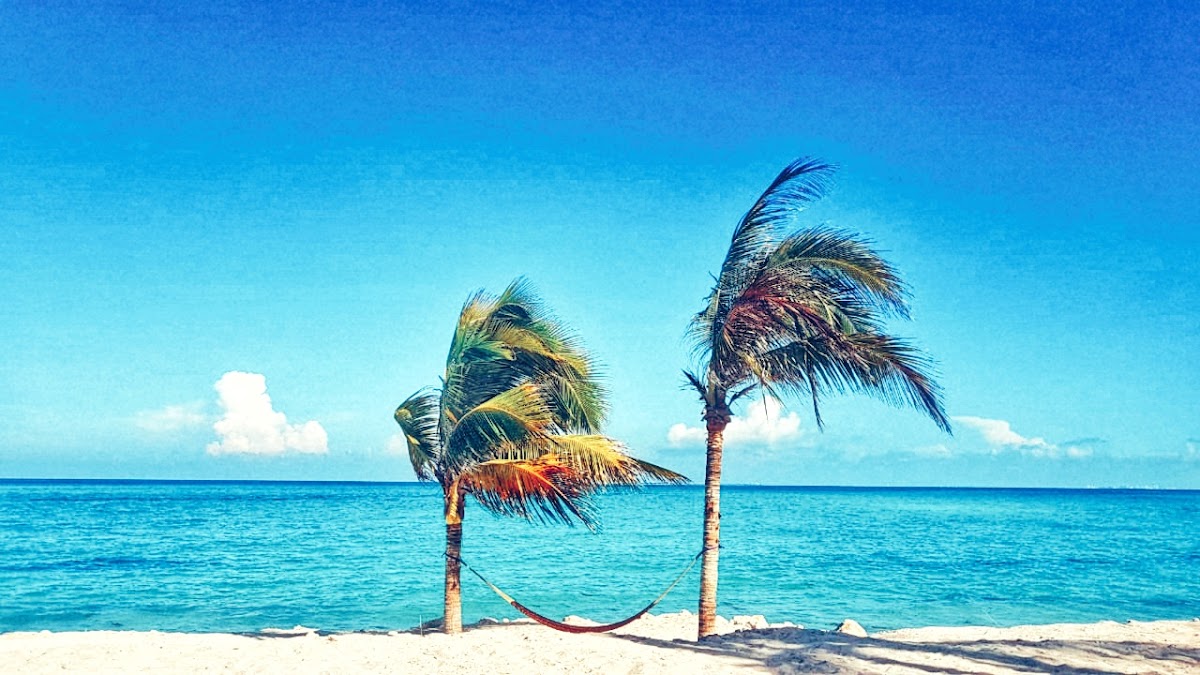 Villa Isla Blanca photo 3
