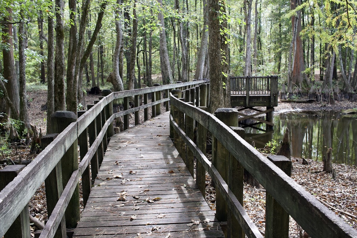 Pickensville Campground