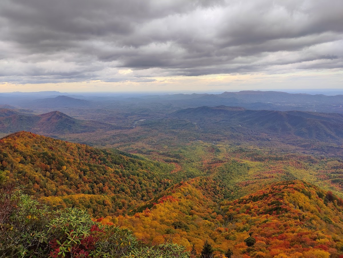 Mt Cammerer