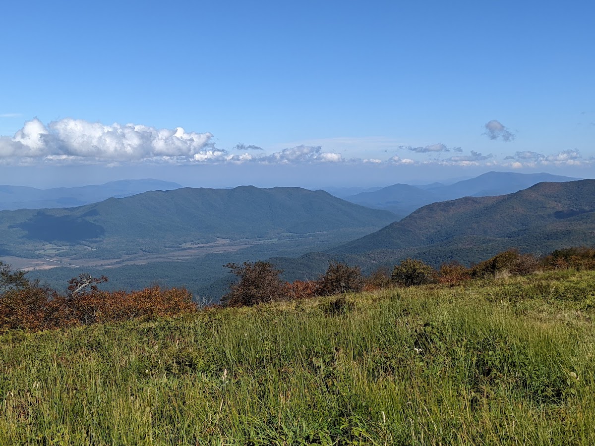 Gregory Bald
