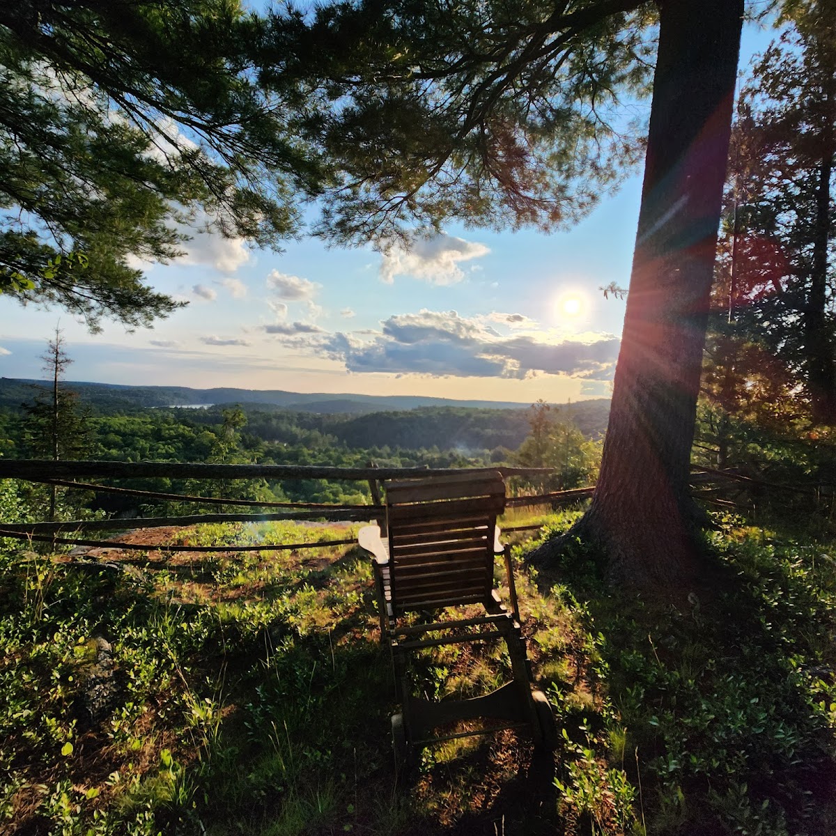Haliburton Forest & Wild Life Reserve Ltd