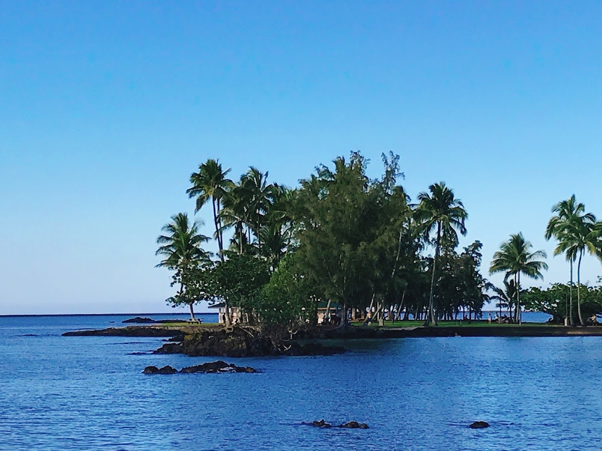 Coconut Island
