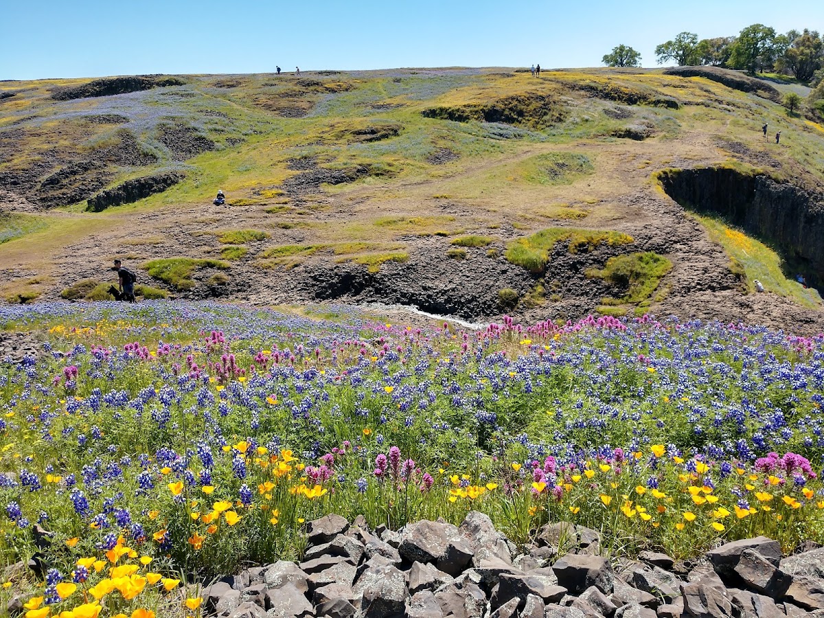 North Table Mountain Ecological Reserve