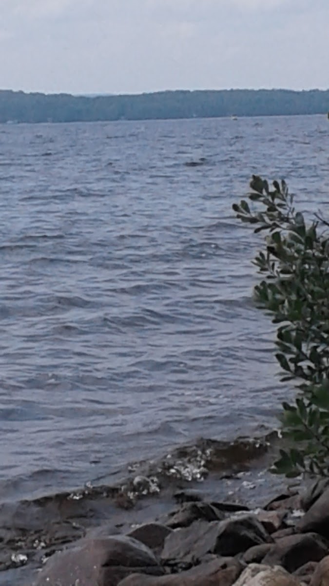 Grand Lac Nominingue