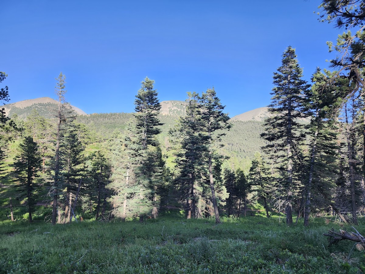 Monument Lake, Colorado