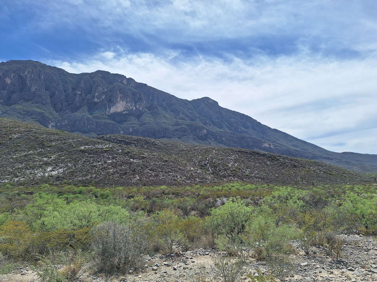 Cerro La India