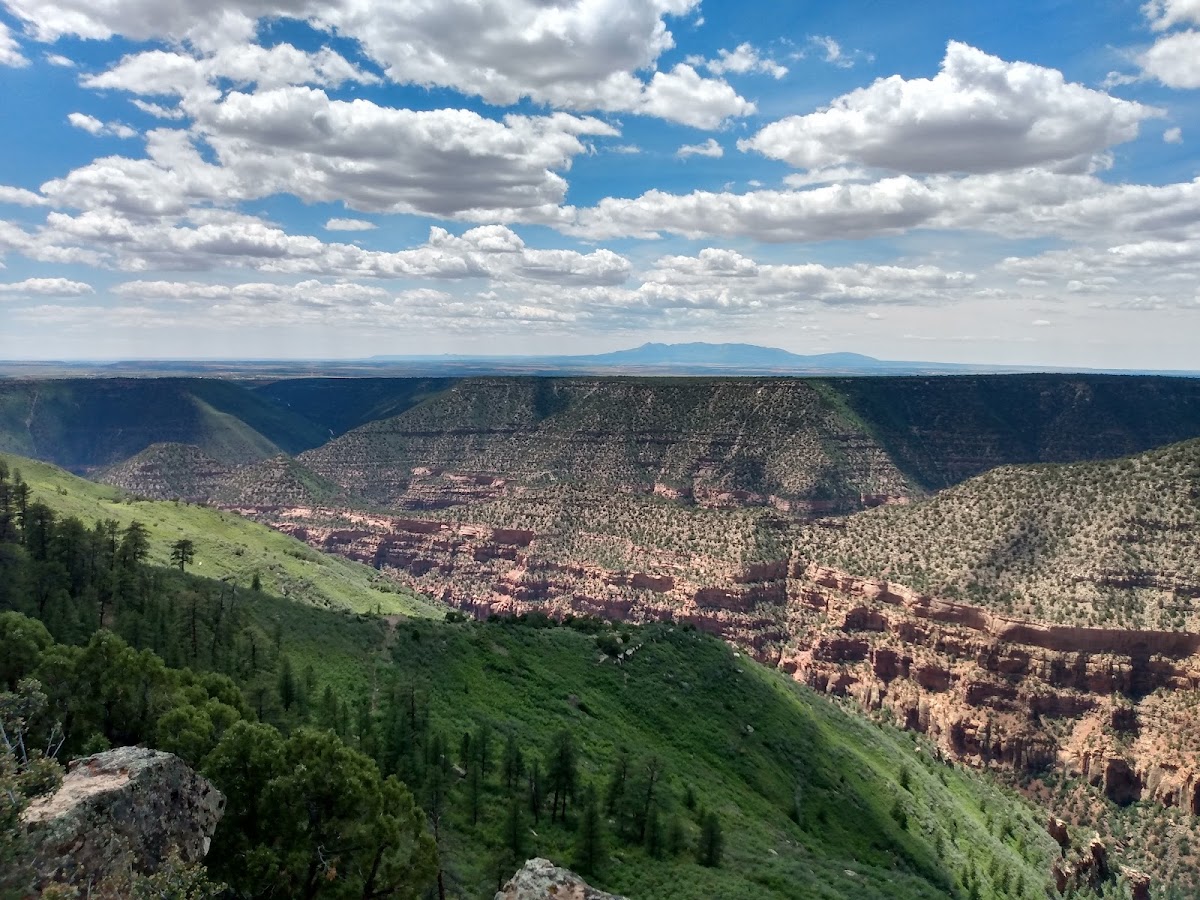 Dolores Canyon Overlook
