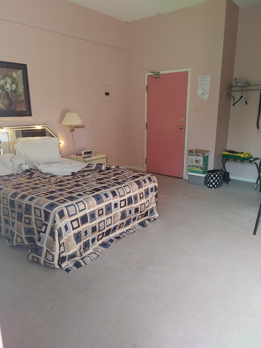 Fernbrook Resort photo 2