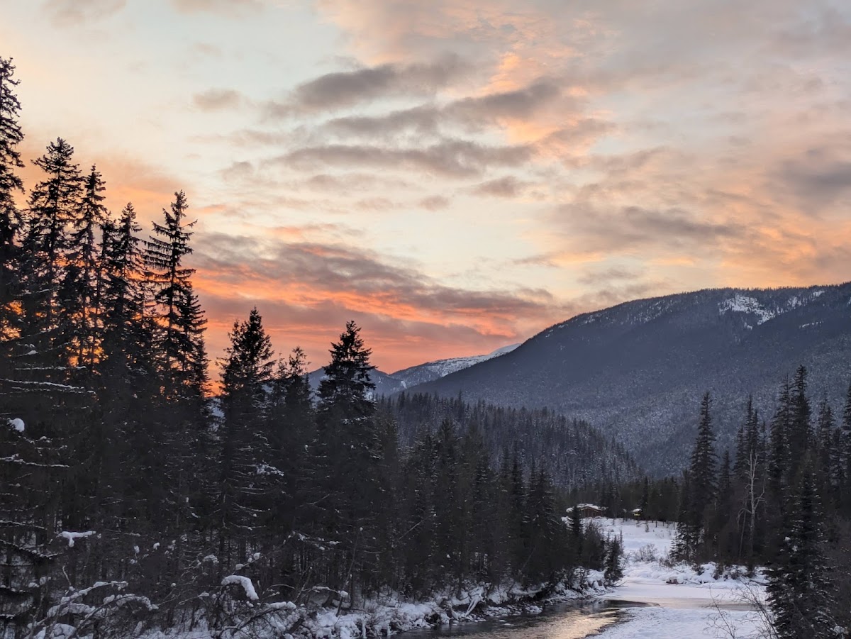 Blue River Pine Provincial Park