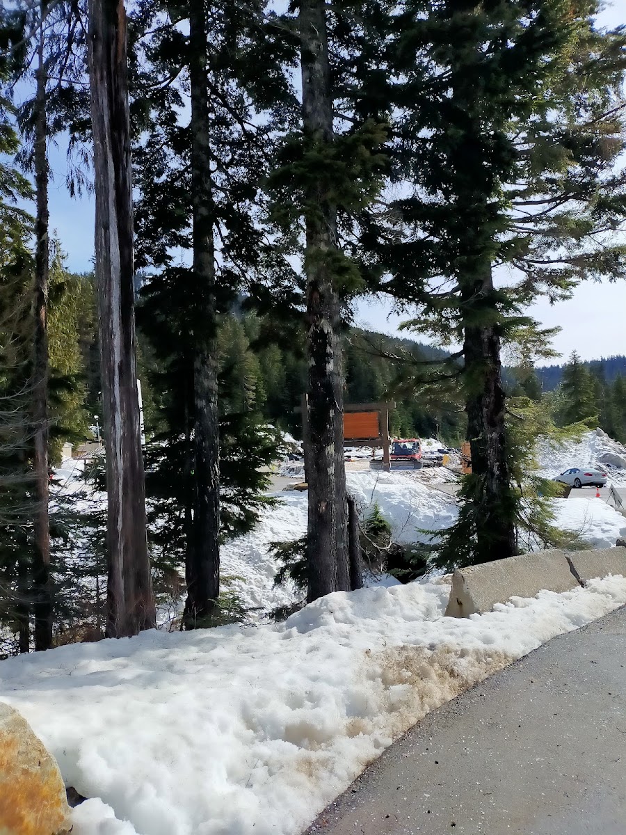 Cypress Creek Lodge photo 3
