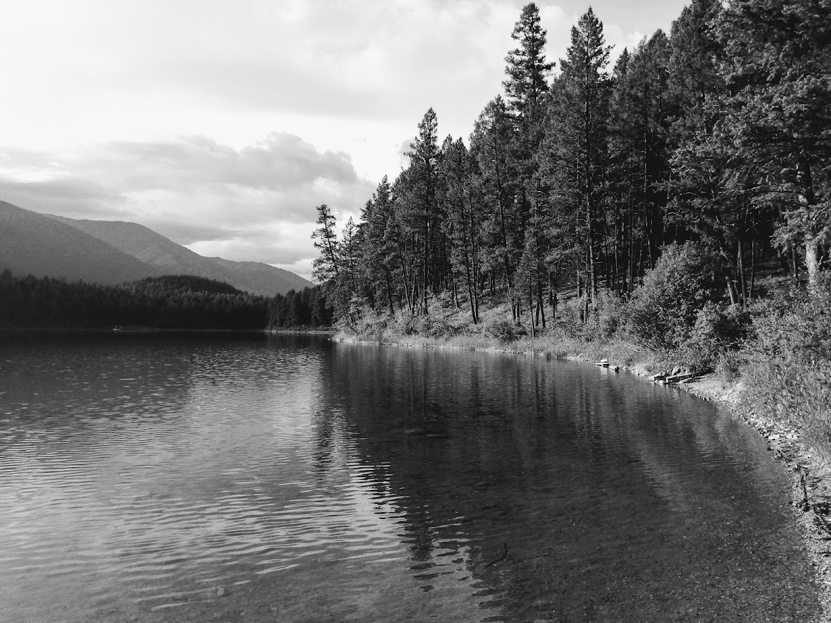 Loon Lake