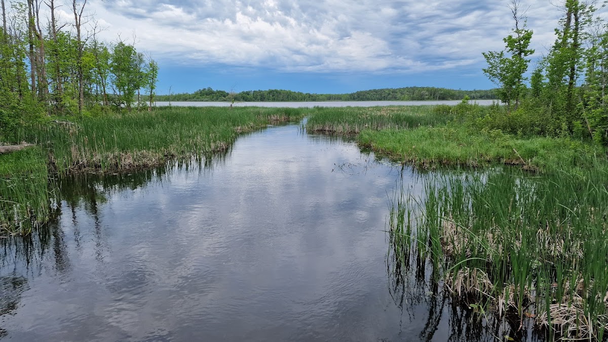 Three Island Lake County Park