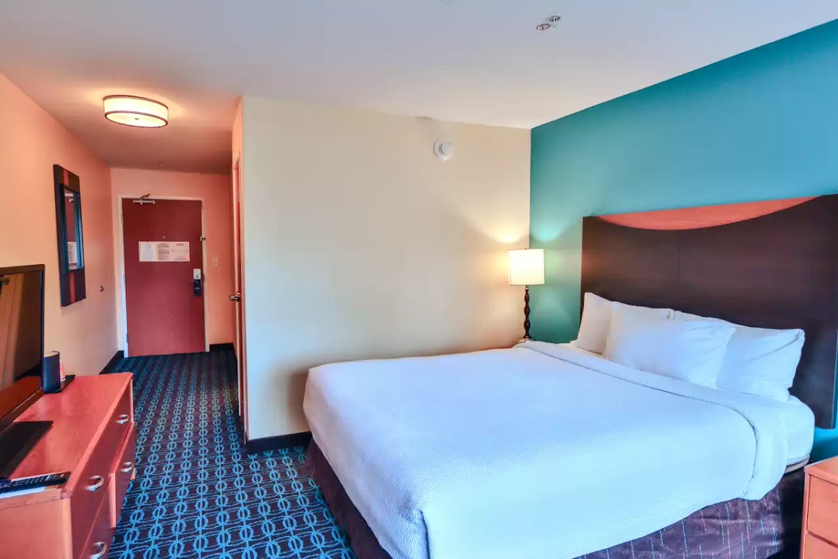 Comfort Inn & Suites Houston North - Spring photo 2