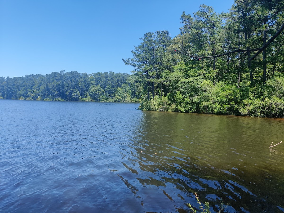 Flint Creek Reservoir