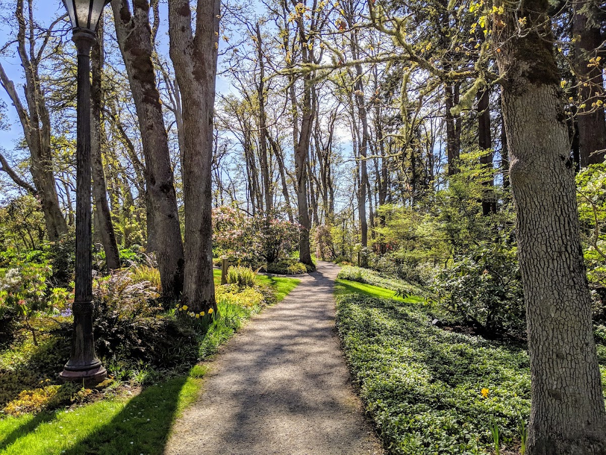 Hendricks Park