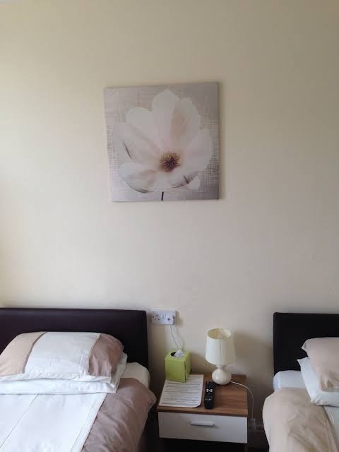 ARLINGTONS photo 3