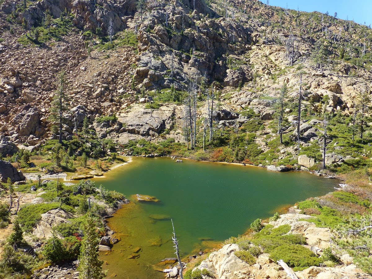 Towhead Lake