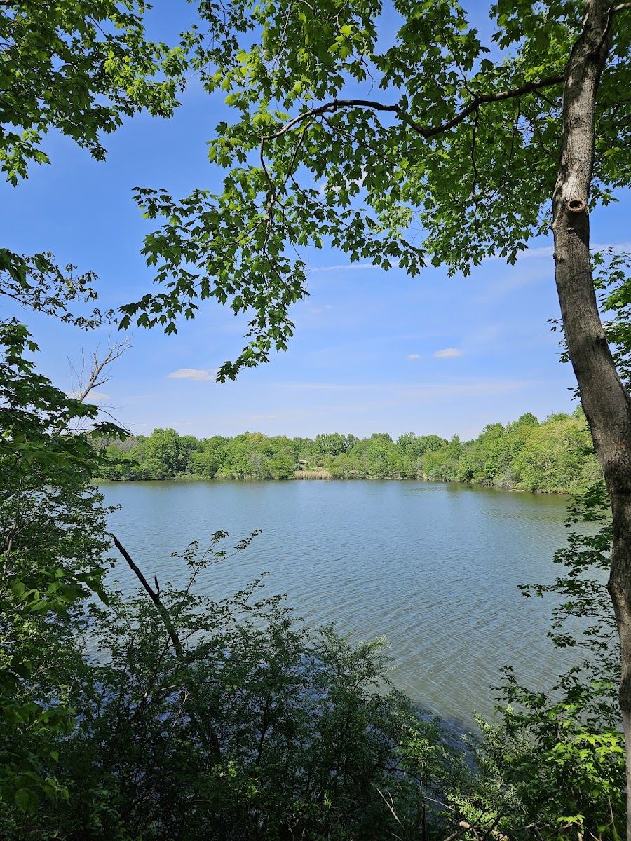 Newton Lake Conservation Area