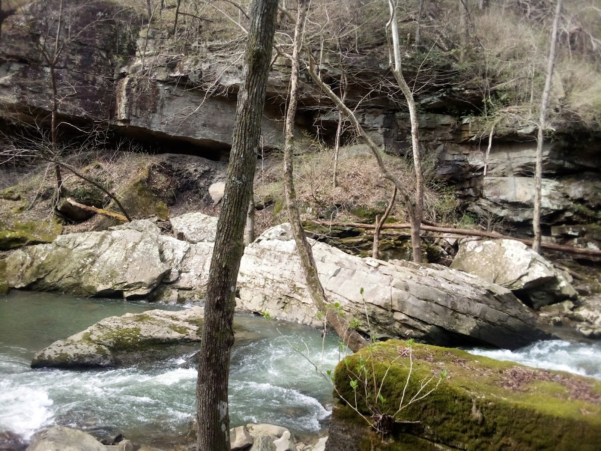 Pocket Wilderness