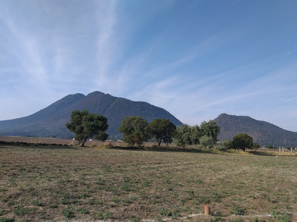 El Pinal