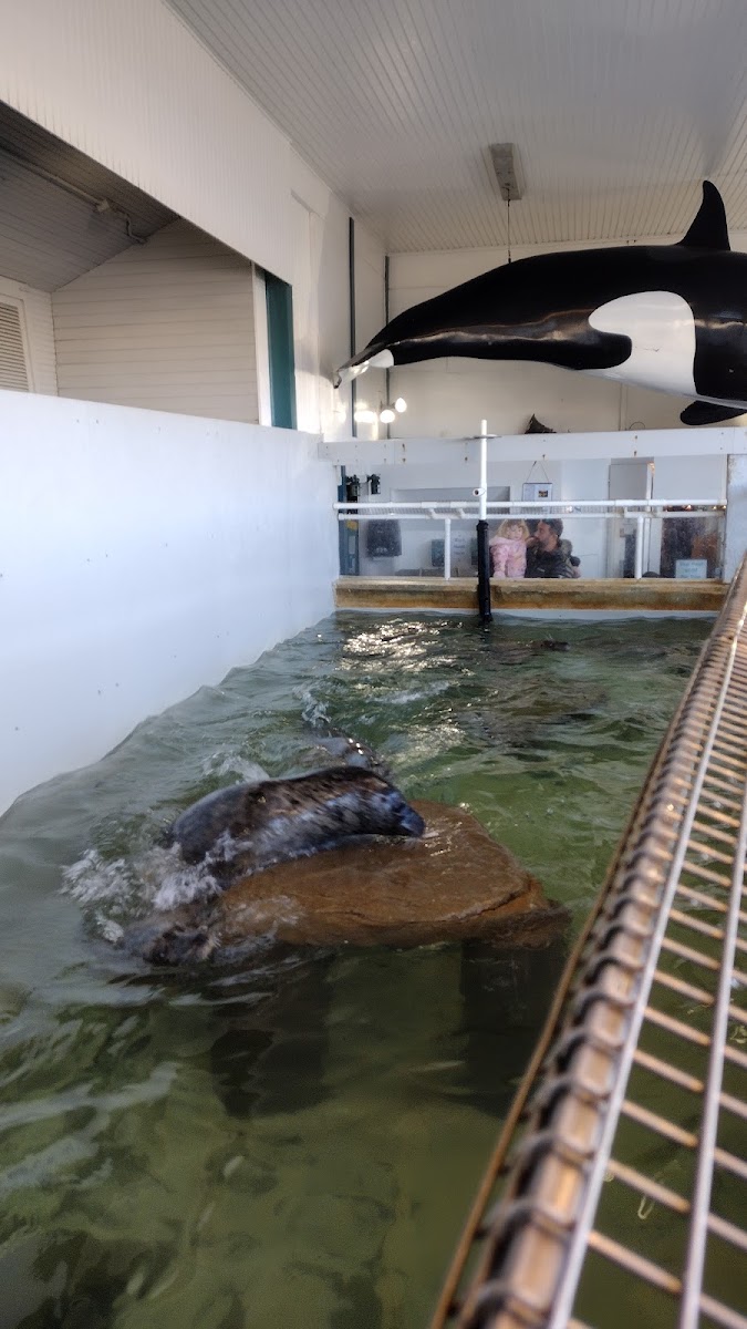 Seaside Aquarium