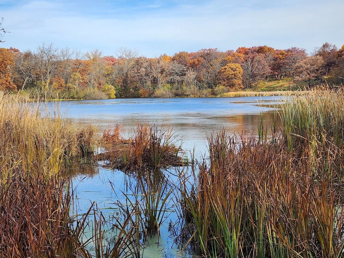 Deer Grove Forest Preserve (Forest Preserves of Cook County)