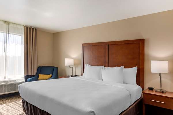 Comfort Inn & Suites Charlottesville Hollymead Town Center photo 2