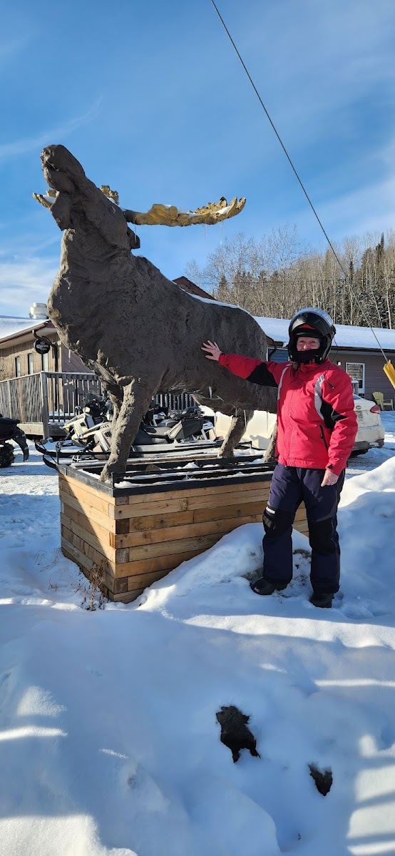 Muddy Moose Restaurant And Inn photo 3