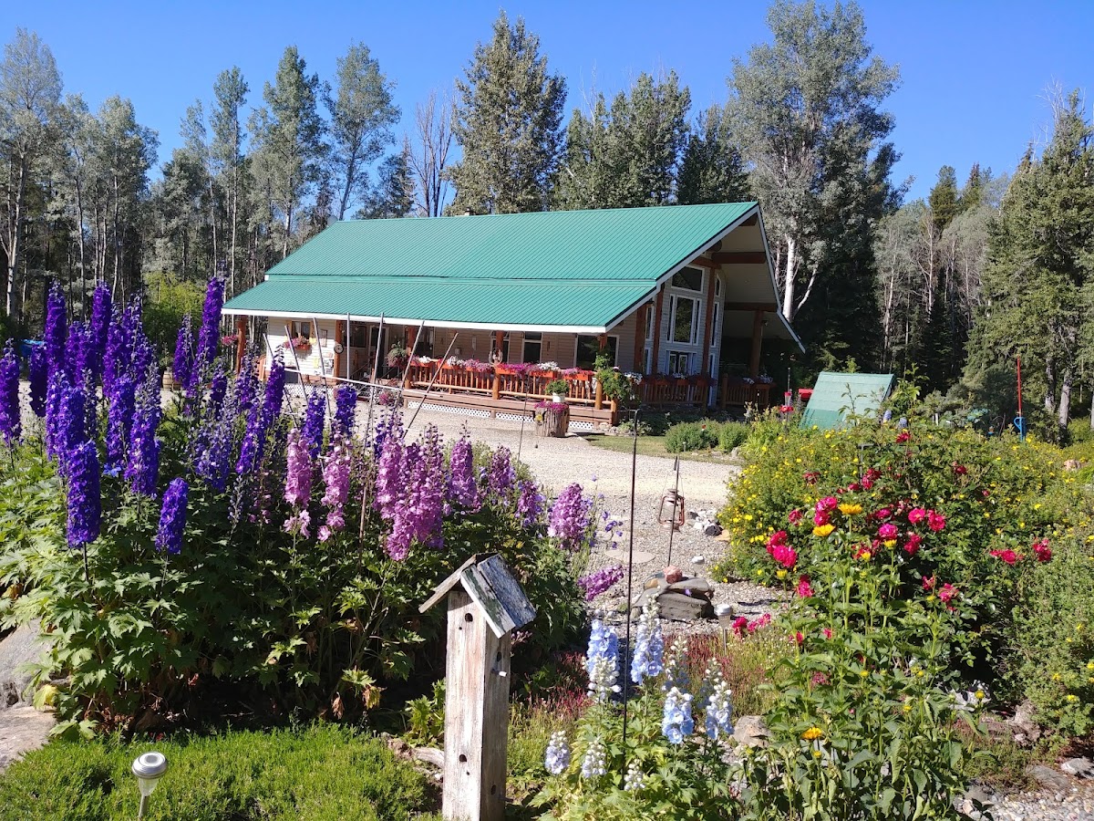 Noke Creek Lodge & Campground photo 2