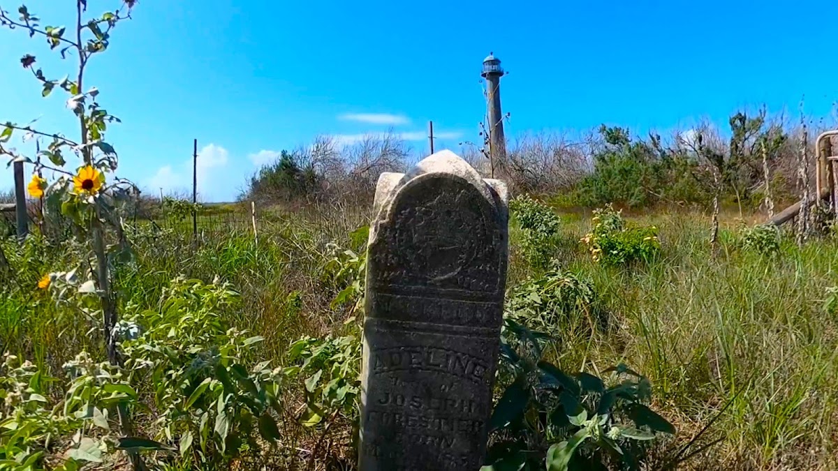 Matagorda Island Wildlife Management Area