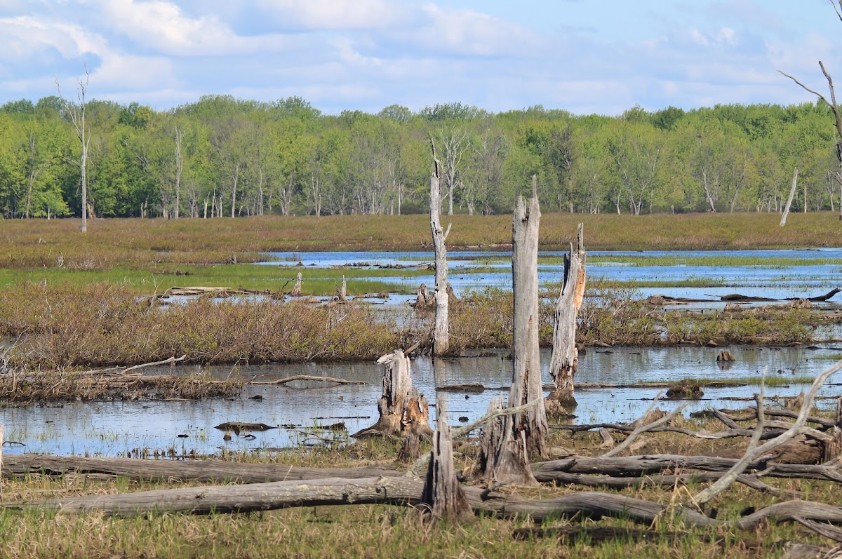 Missisquoi National Wildlife Refuge Admin Building and Visitor Contact Station